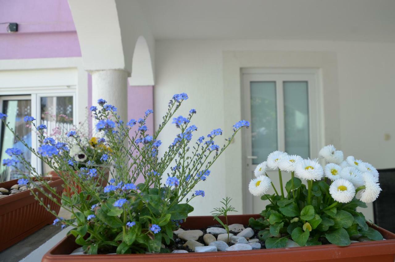 Apartmán Ema & Sea Apartment's Pula